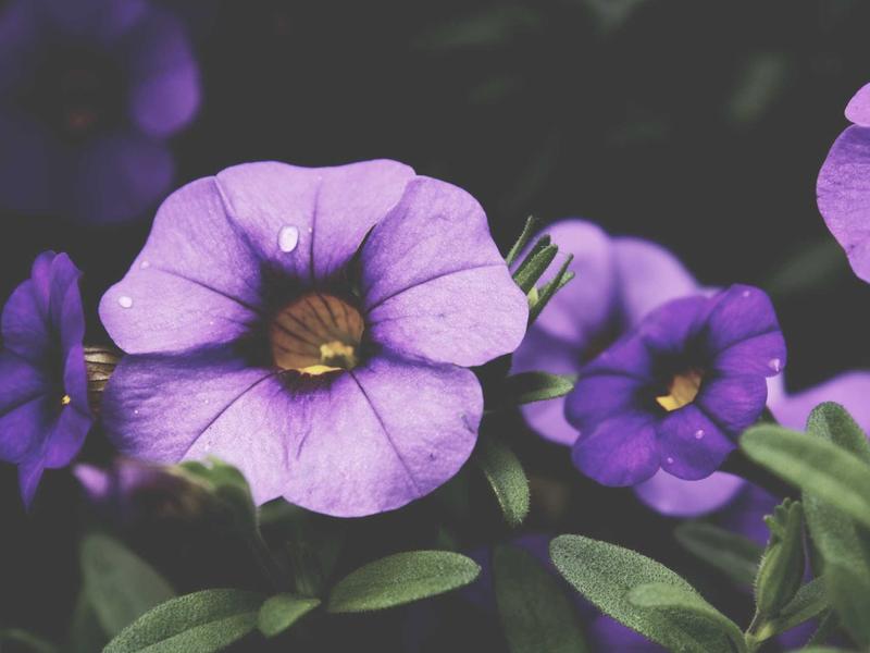 sudoku number placement screenshot 5